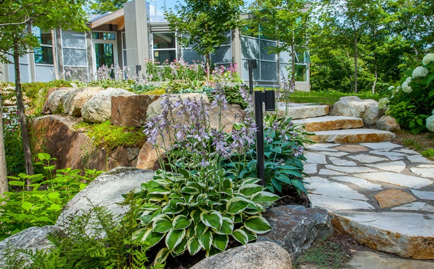 Services landscaping